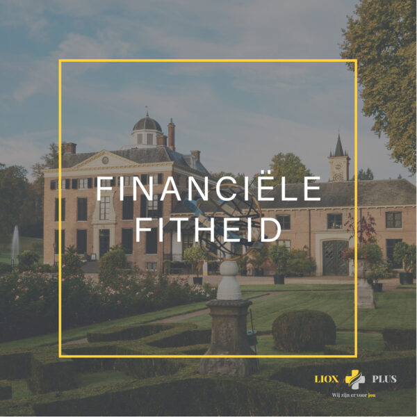 Financiële Fitheid