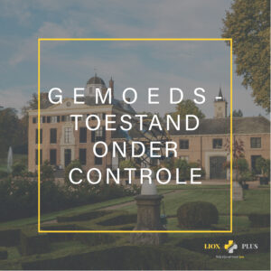 Gemoedstoestand Onder Controle