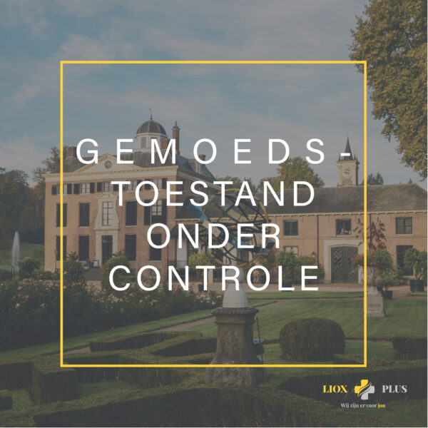 Gemoedstoestand Onder Controle